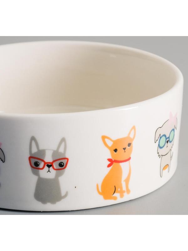 Миска керамическая 