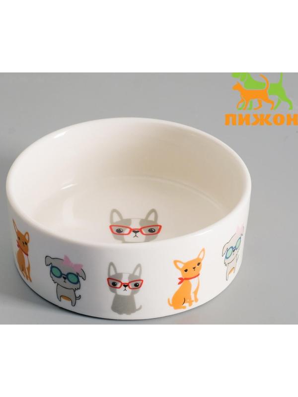 Миска керамическая 