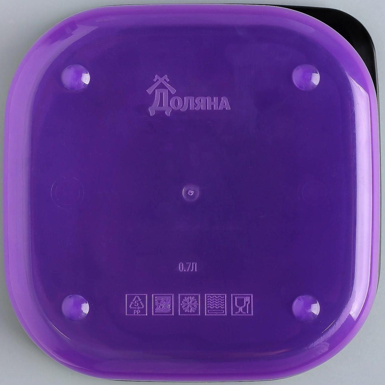 Ланч-бокс «Единорог», 700 мл