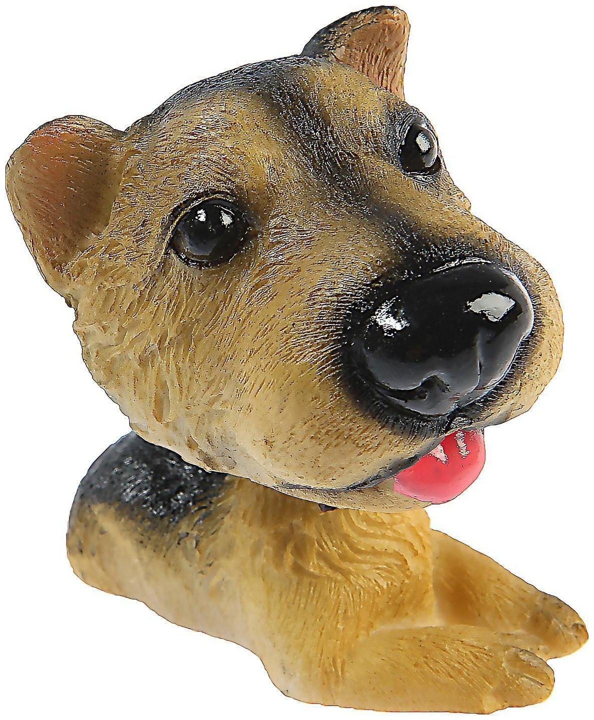 Собака на панель авто, качающая головой, ирландский терьер