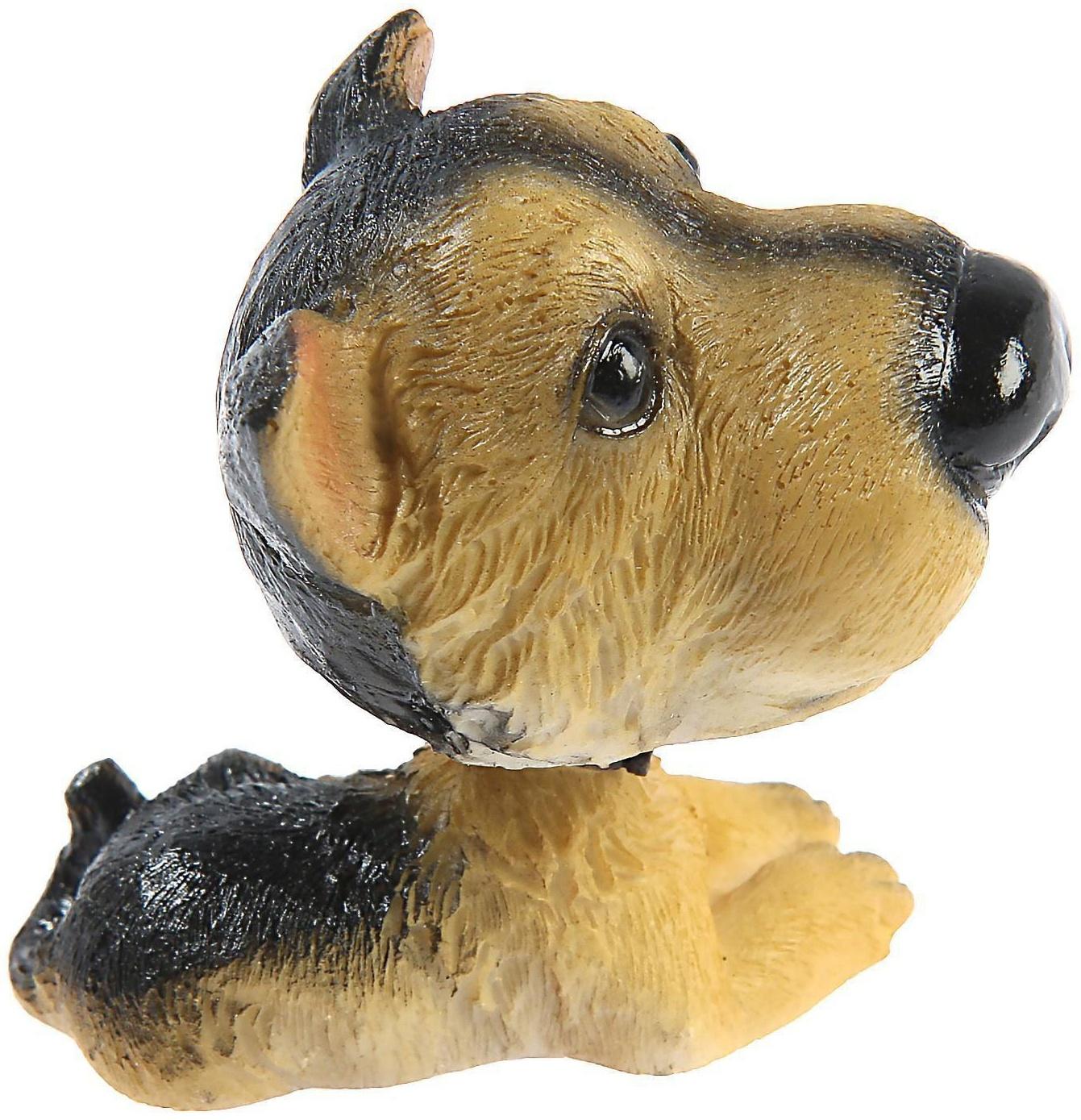 Собака на панель авто, качающая головой, ирландский терьер