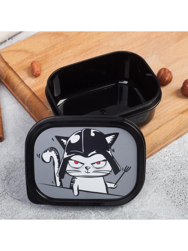 Ланч-бокс «Переходи на тёмную сторону», 150 мл