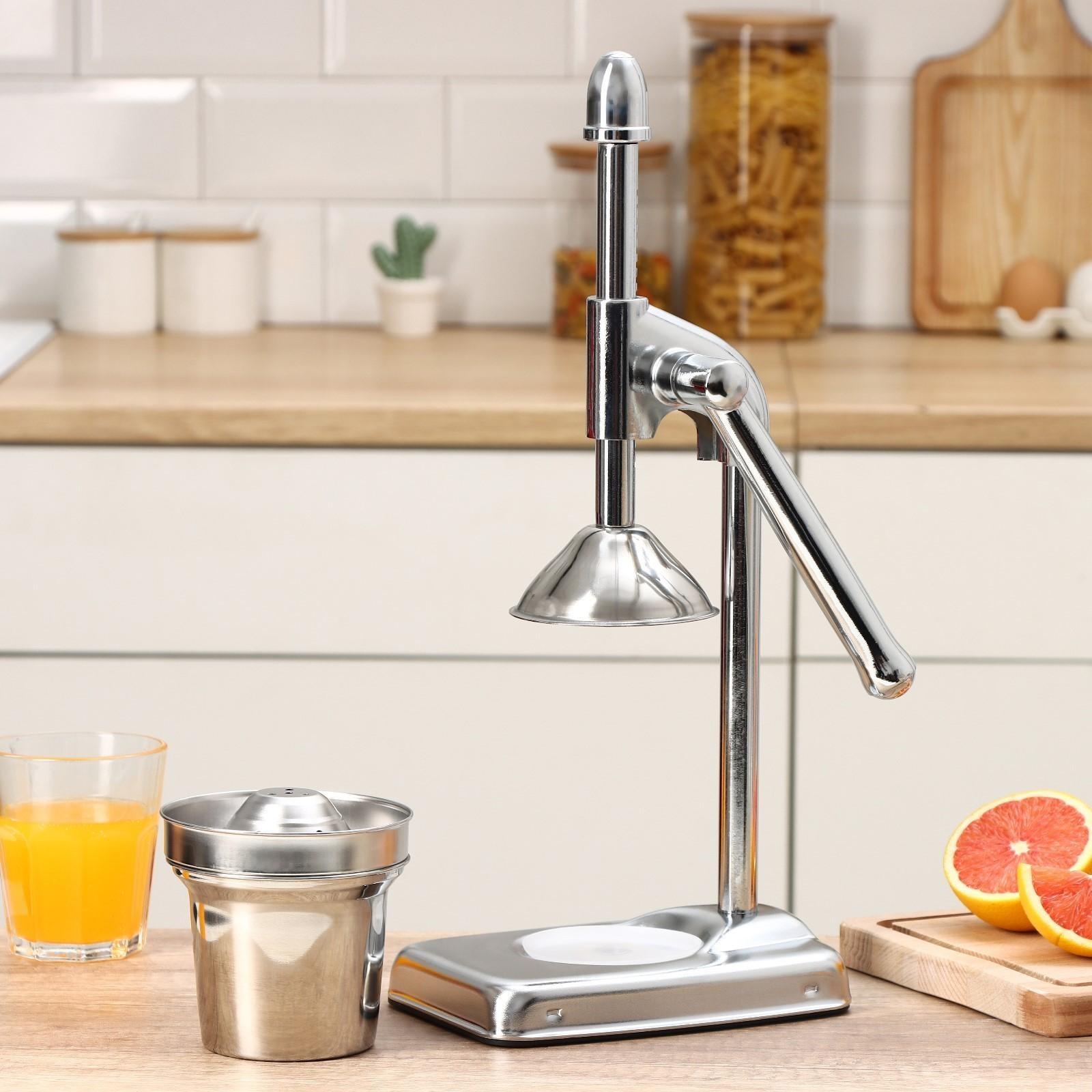 Соковыжималка механическая Доляна Fruits, 20×14,5×37 см