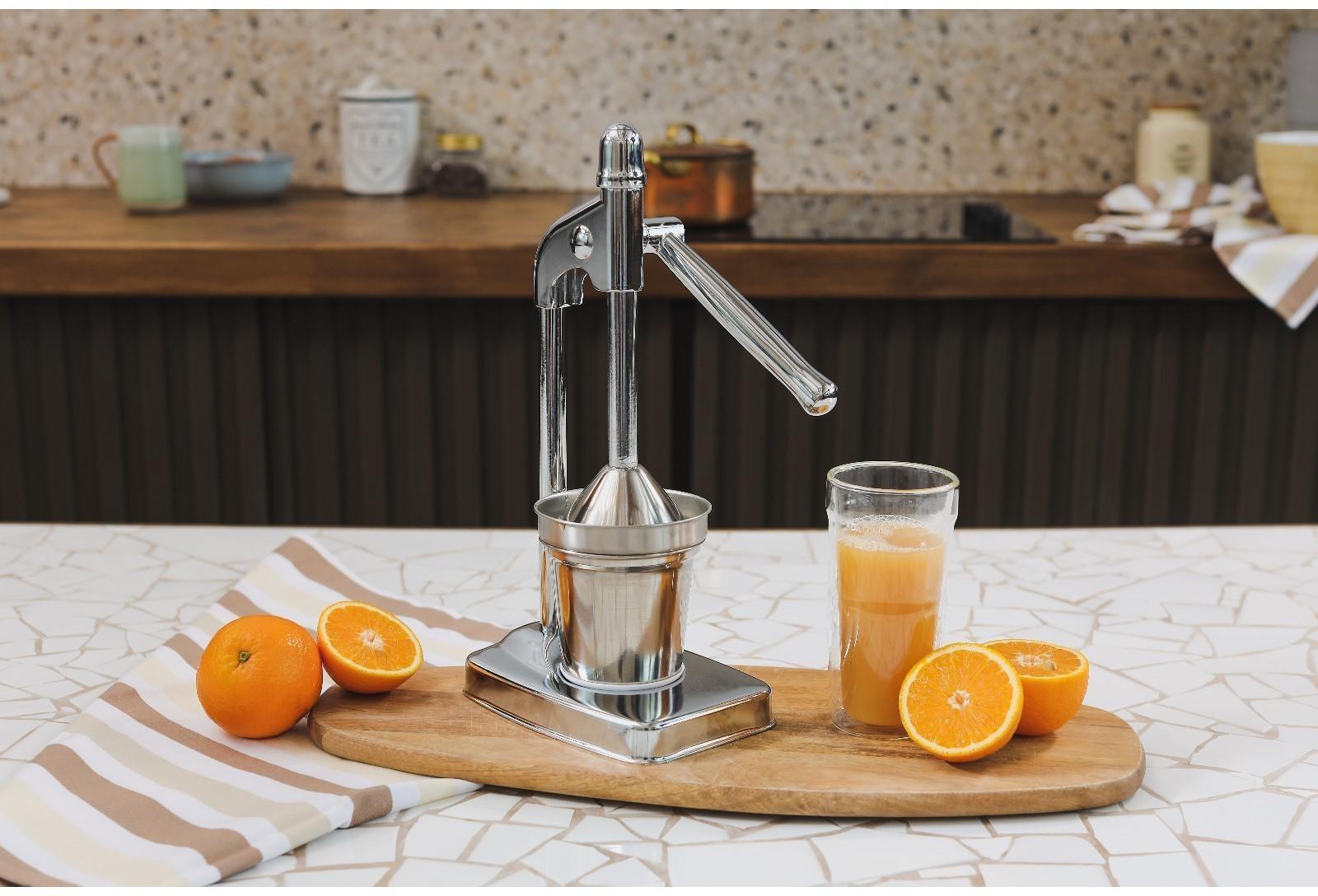 Соковыжималка механическая Доляна Fruits, 20×14,5×37 см