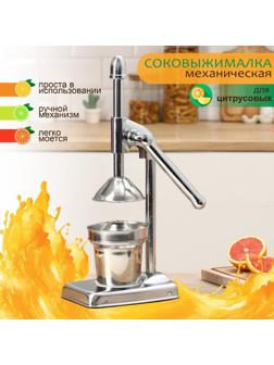 Соковыжималка механическая Доляна Fruits, 20×14,5×37 см