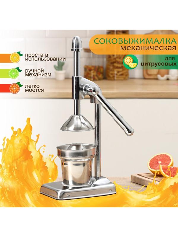 Соковыжималка механическая Доляна Fruits, 20×14,5×37 см