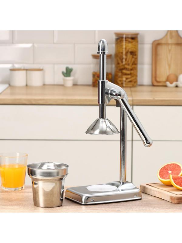 Соковыжималка механическая Доляна Fruits, 20×14,5×37 см