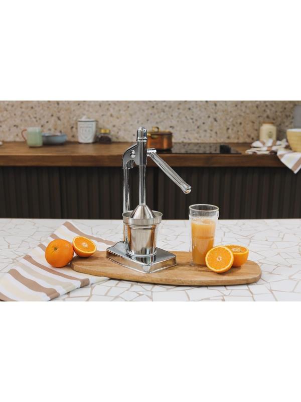 Соковыжималка механическая Доляна Fruits, 20×14,5×37 см