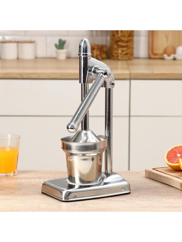 Соковыжималка механическая Доляна Fruits, 20×14,5×37 см