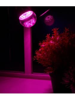 Фитолампа светодиодная Uniel, А60, Е27, 8 Вт, 250 В, 220°, мультиспектральная