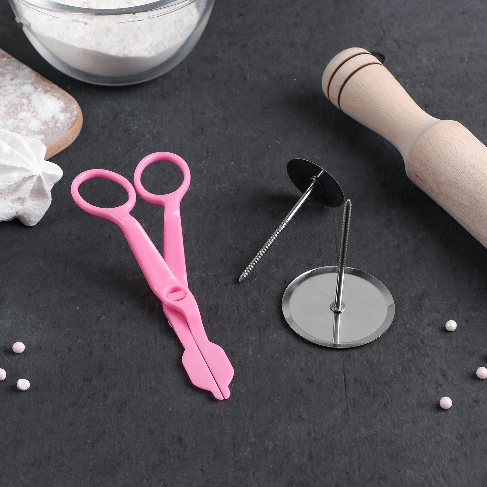 Набор кондитерский Доляна, 3 предмета: гвоздь кондитерский d=3/5 см, ножницы кондитерские для переноски украшений, цвет МИКС