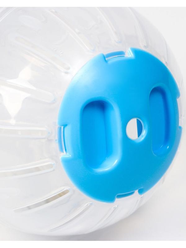 Шар для грызунов, 10 см, голубой