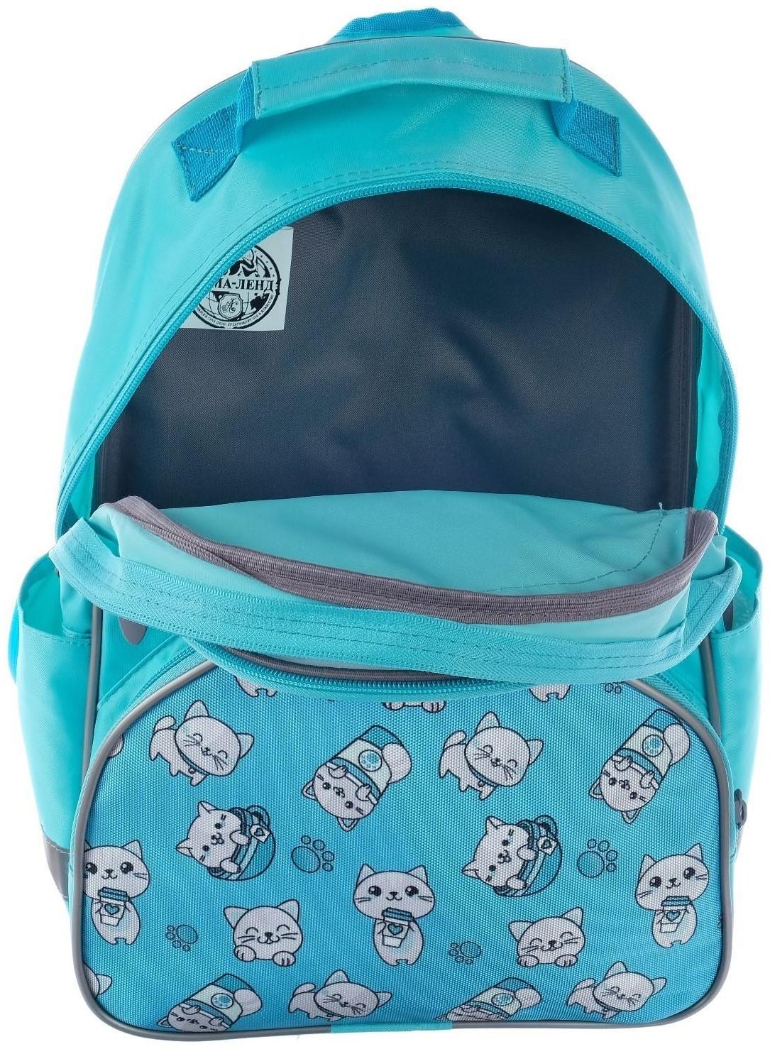 Рюкзак школьный, 37 х 26 х 13 см, эргономичная спинка, Calligrata АН 