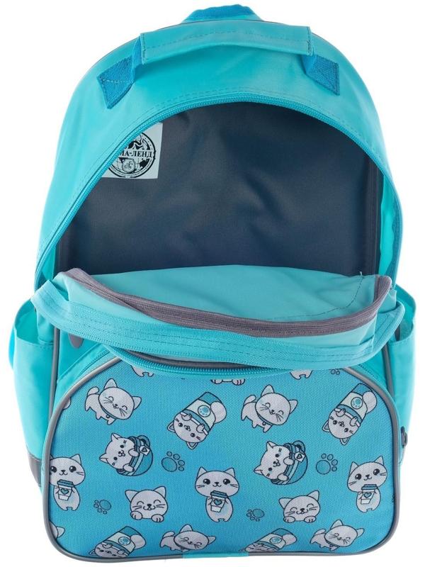 Рюкзак школьный, 37 х 26 х 13 см, эргономичная спинка, Calligrata АН 