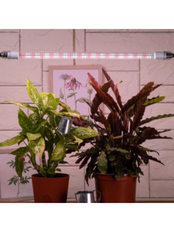 Фитолампа светодиодная, 9 Вт, 600 мм, IP20, полный спектр, бело-красная, «ЭРА»