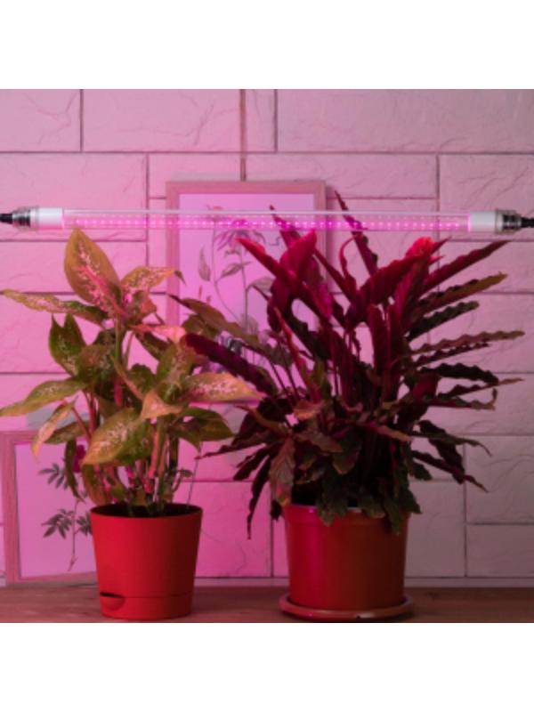 Фитолампа светодиодная, 9 Вт, 600 мм, IP20, сине-красный спектр, фиолетовая, «ЭРА»