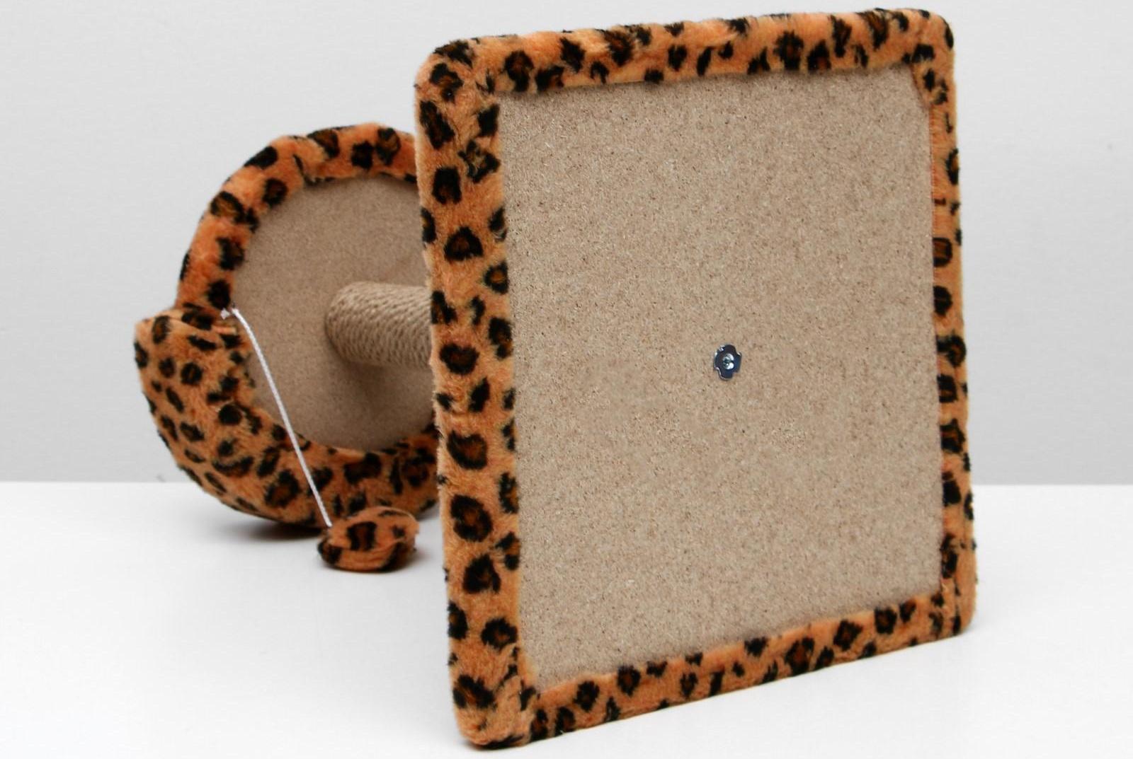 Когтеточка малая 