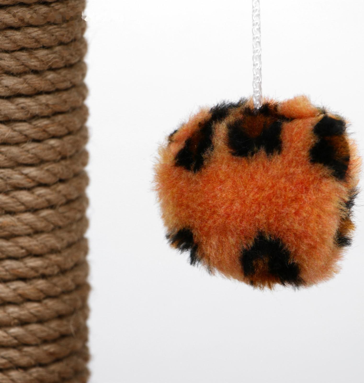 Когтеточка малая 