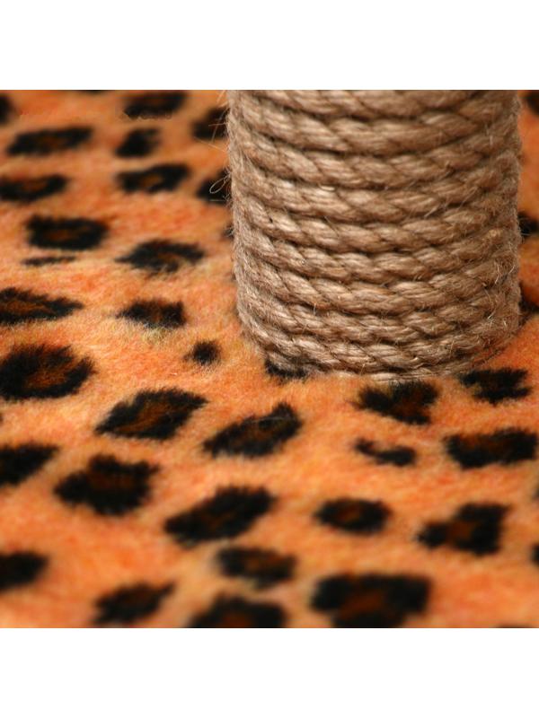 Когтеточка малая 