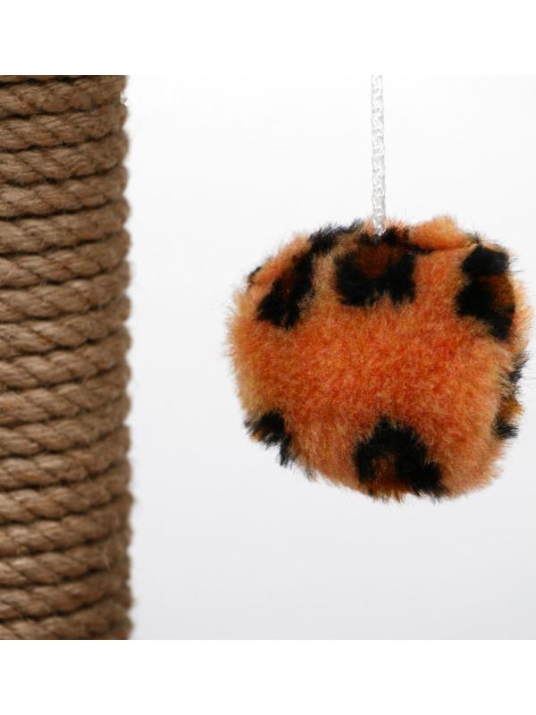 Когтеточка малая 