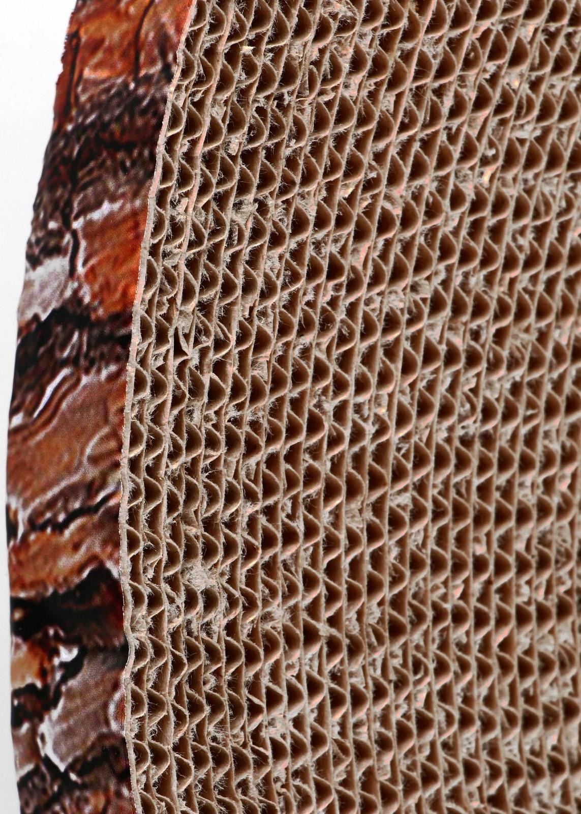 Гофрокогтеточка 