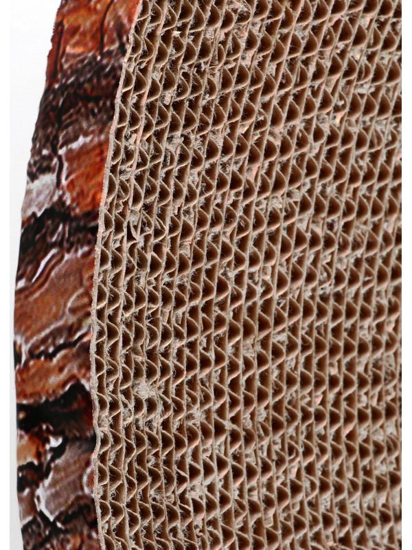 Гофрокогтеточка 