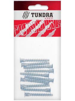 Винт конфирмат ТУНДРА krep, 6.3х50 мм, стальной, оцинкованный, в упаковке 10 шт.