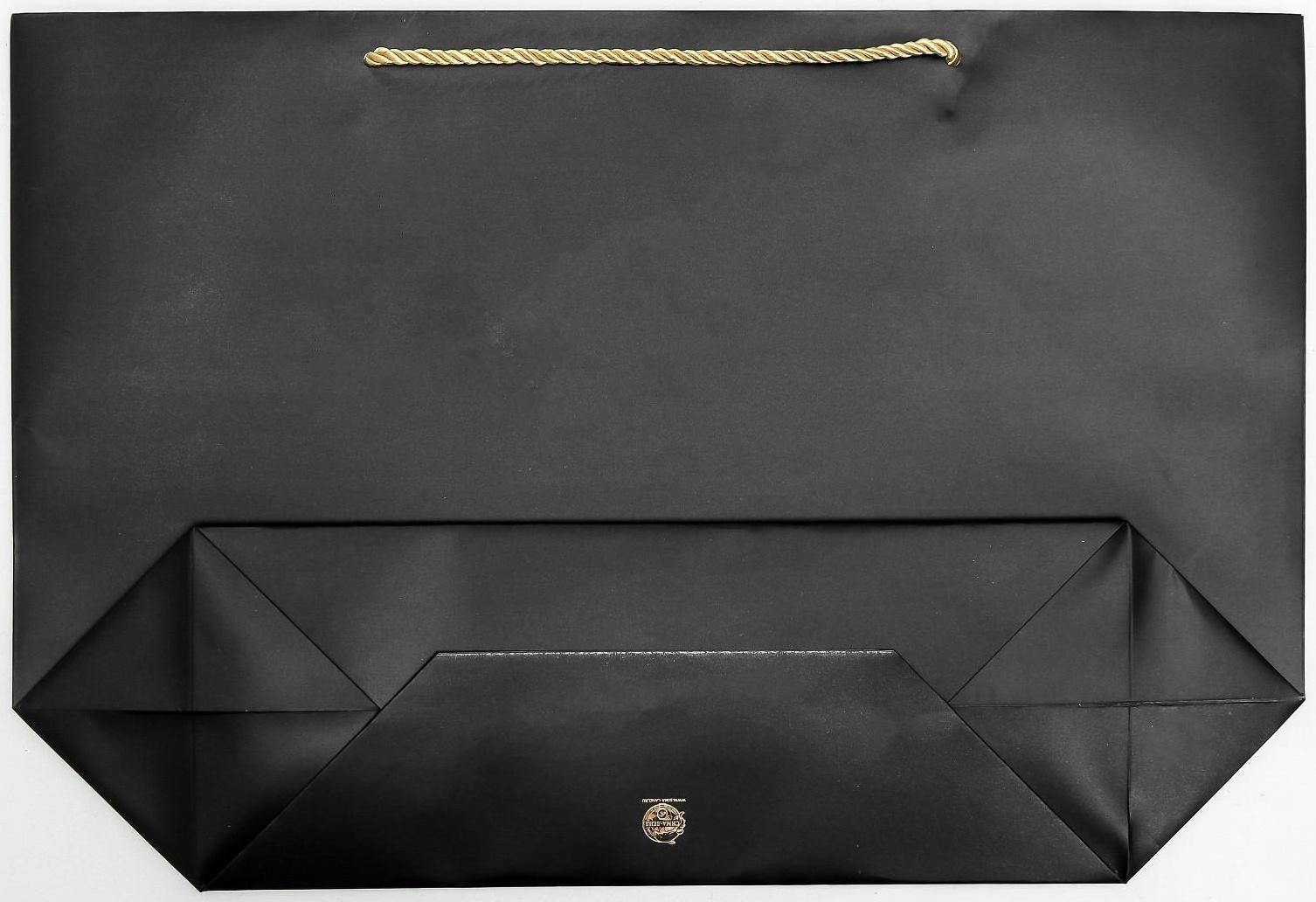 Пакет подарочный Present, 33 х 31 х 13 см