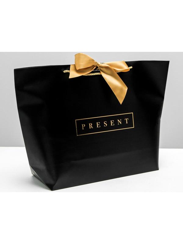Пакет подарочный Present, 33 х 31 х 13 см
