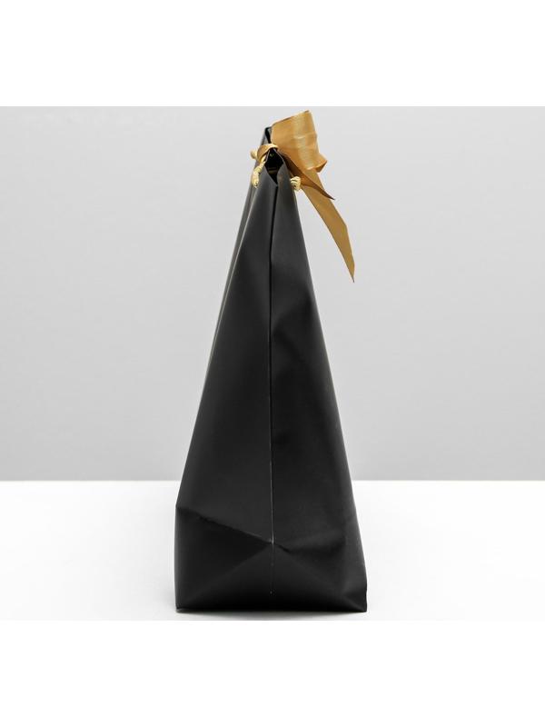 Пакет подарочный Present, 33 х 31 х 13 см