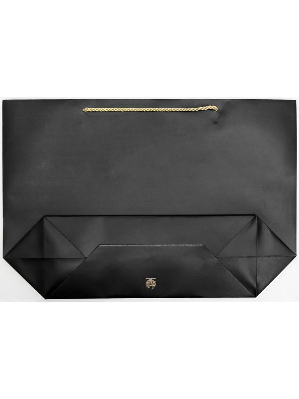 Пакет подарочный Present, 33 х 31 х 13 см