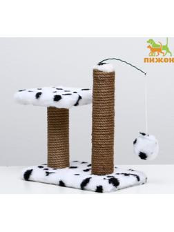 Когтеточка для котят двойная, 30 х 20 х 34 см, джут, далматинец