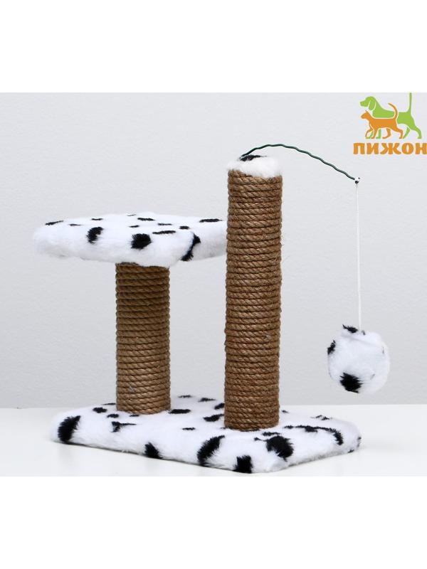 Когтеточка для котят двойная, 30 х 20 х 34 см, джут, далматинец