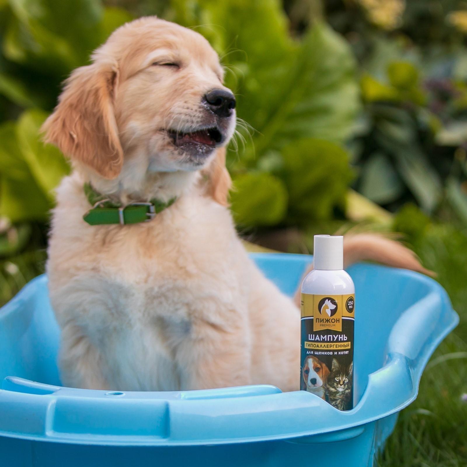 Шампунь-кондиционер 