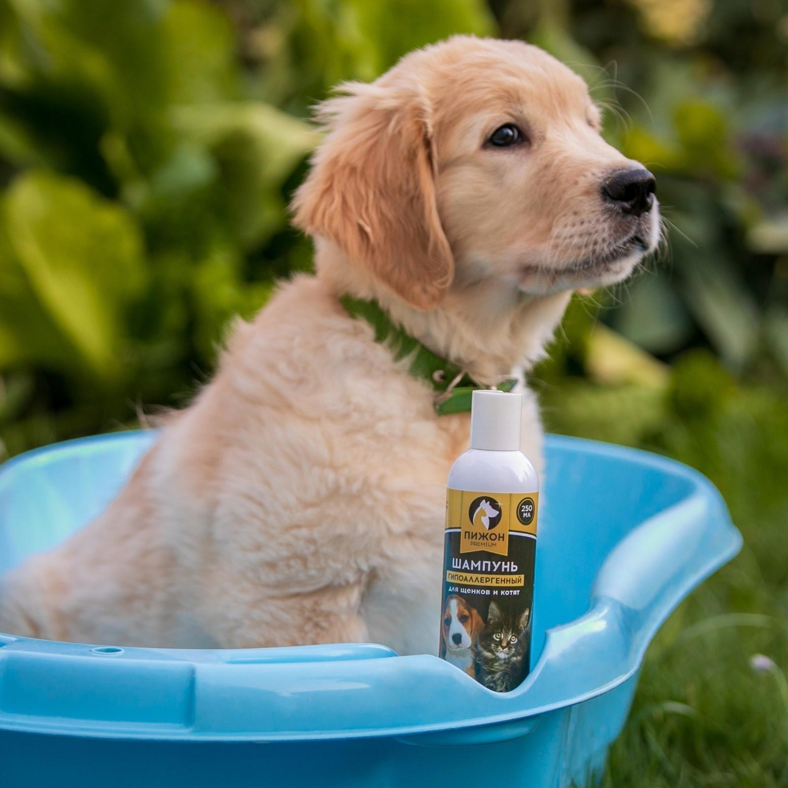 Шампунь-кондиционер 