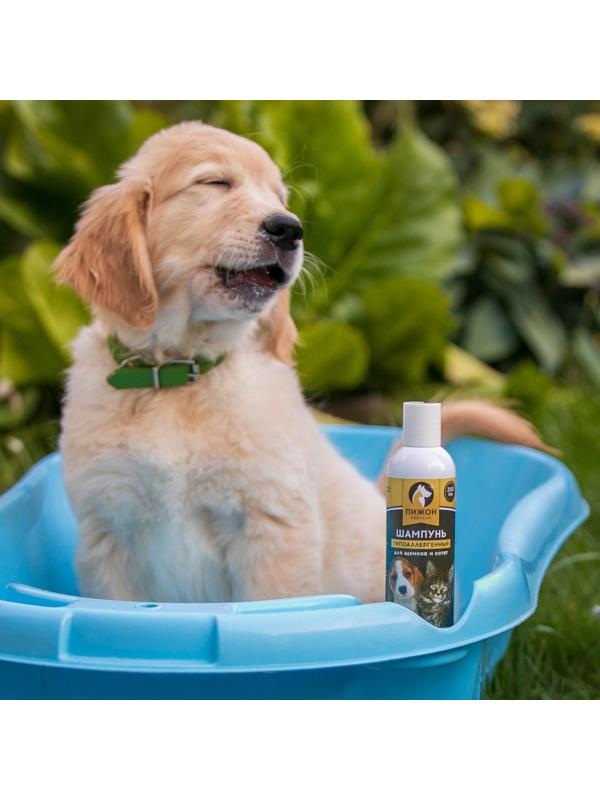 Шампунь-кондиционер 