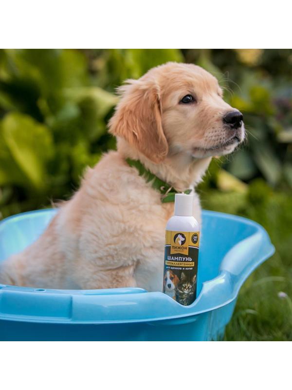 Шампунь-кондиционер 