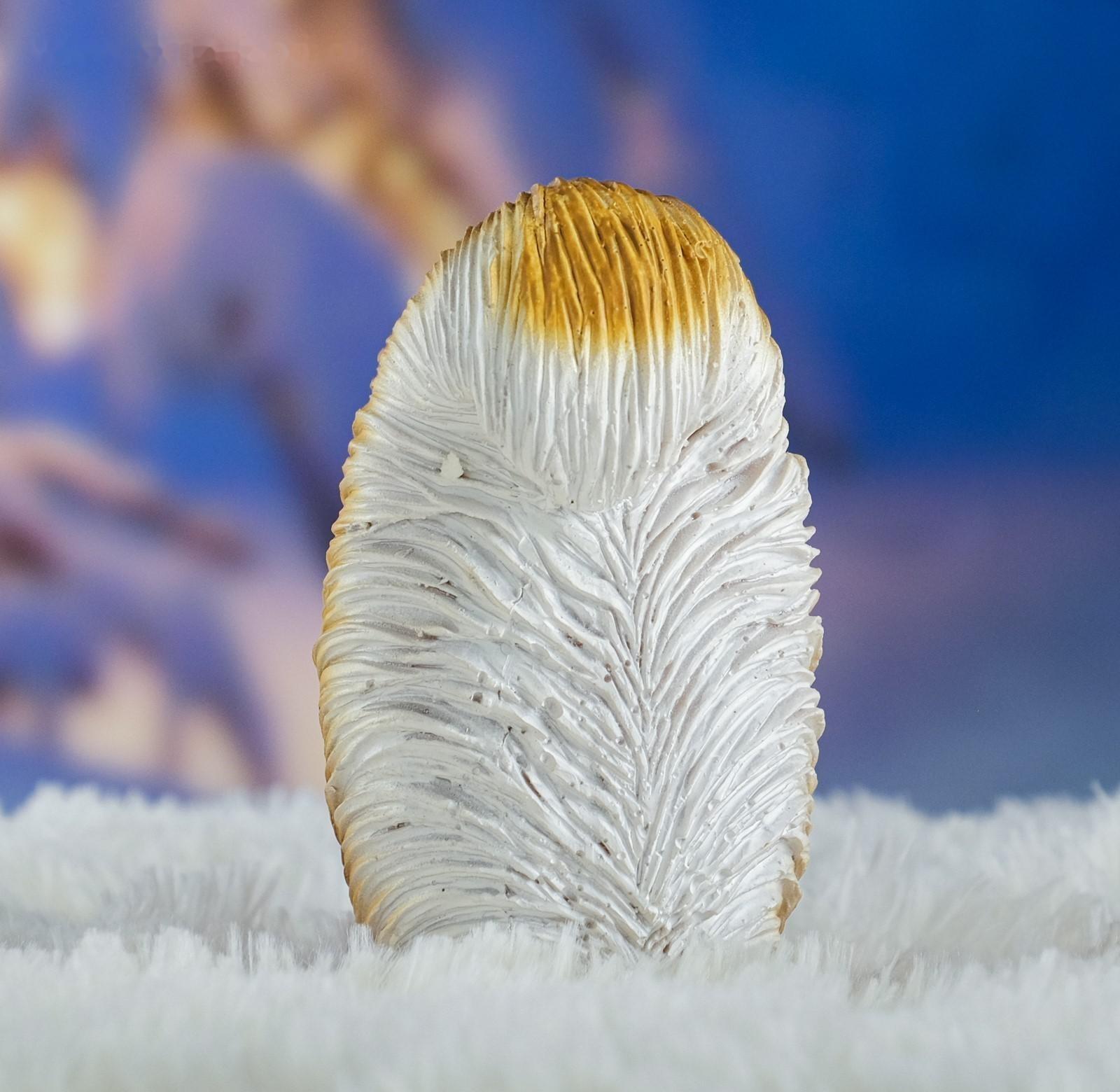 Садовая фигура 