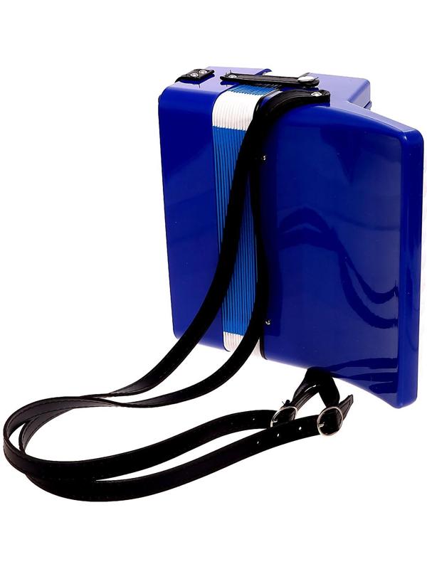 Игрушка музыкальная «Аккордеон», цвета МИКС