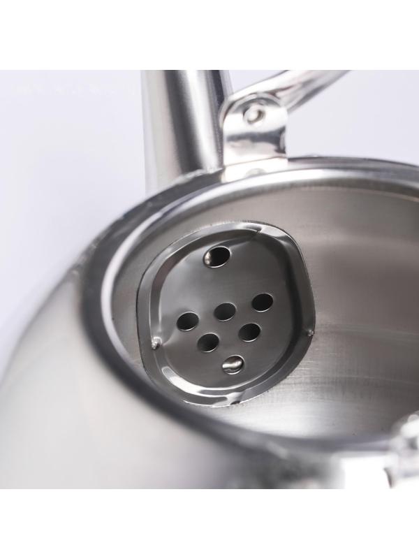 Чайник из нержавеющей стали Orchid, 2 л, цвет серебряный