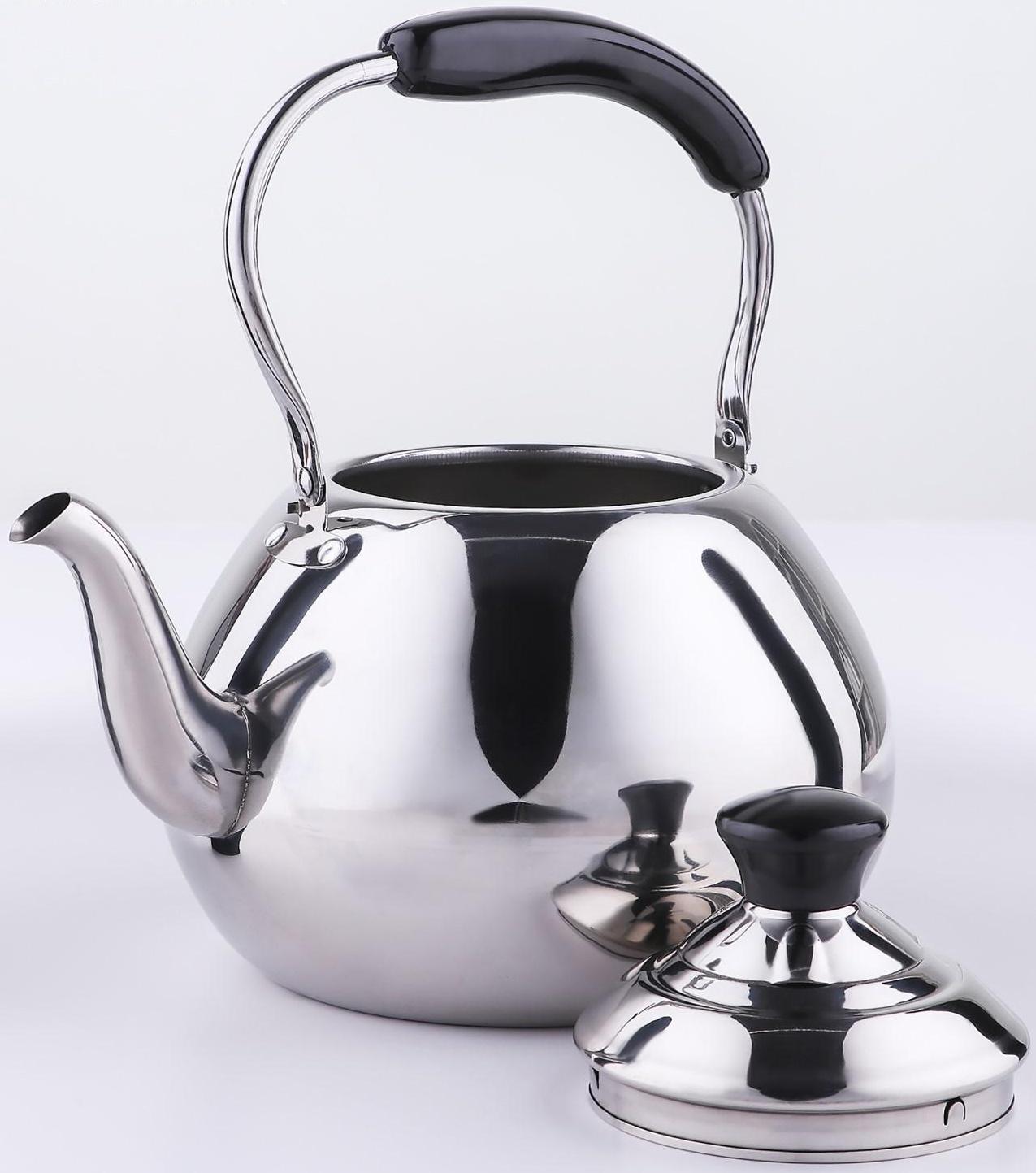 Чайник из нержавеющей стали Orchid, 4 л, цвет серебряный