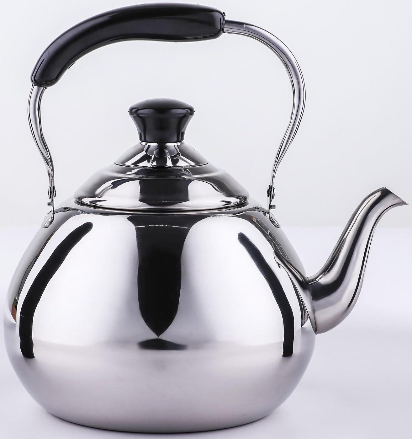 Чайник из нержавеющей стали Orchid, 4 л, цвет серебряный