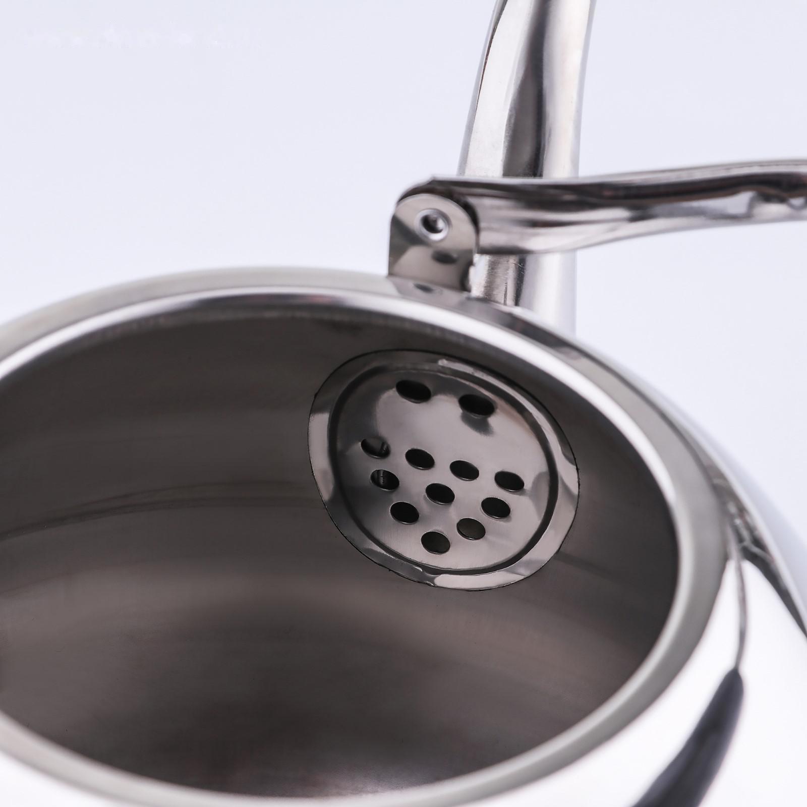 Чайник из нержавеющей стали Orchid, 4 л, цвет серебряный