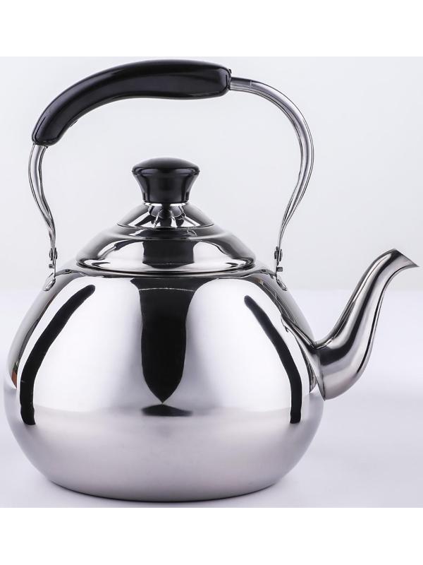 Чайник из нержавеющей стали Orchid, 4 л, цвет серебряный