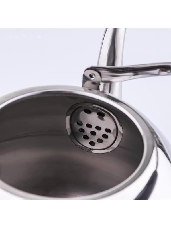 Чайник из нержавеющей стали Orchid, 4 л, цвет серебряный