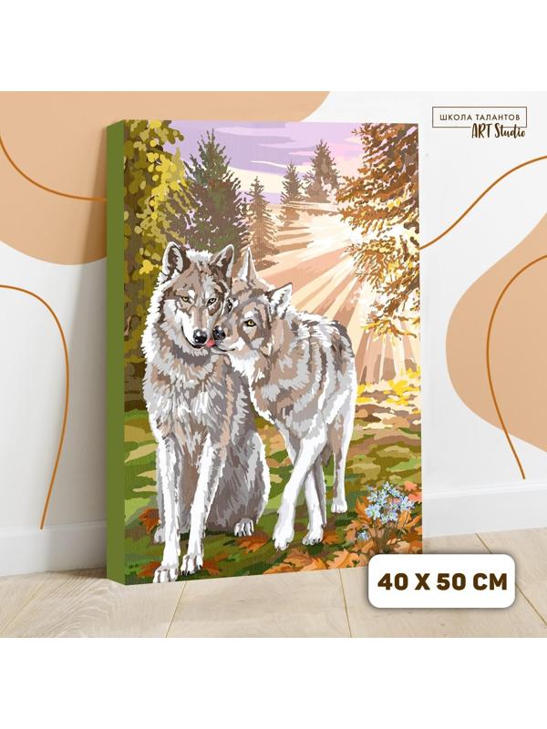 Картина по номерам на холсте с подрамником «Волки» 40×50 см