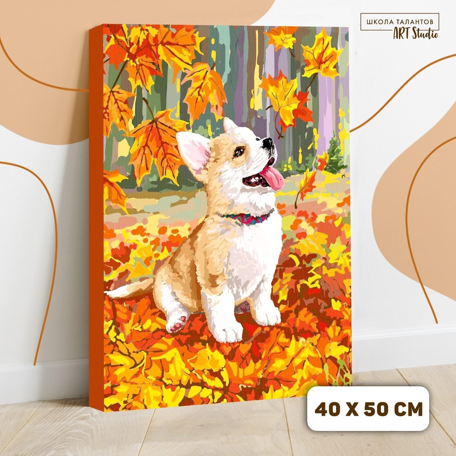Картина по номерам на холсте с подрамником «Корги в осенней листве» 40×50 см