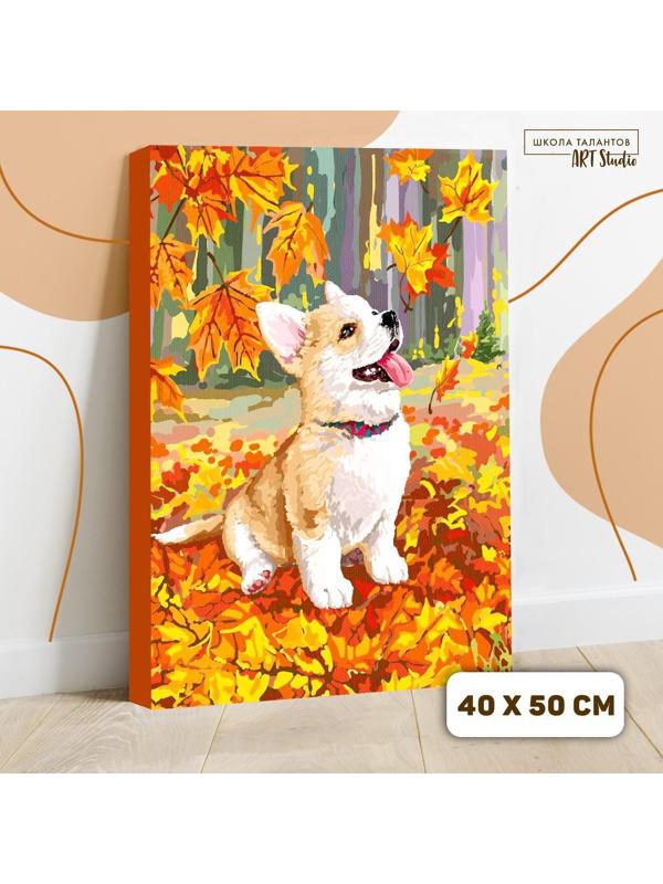 Картина по номерам на холсте с подрамником «Корги в осенней листве» 40×50 см