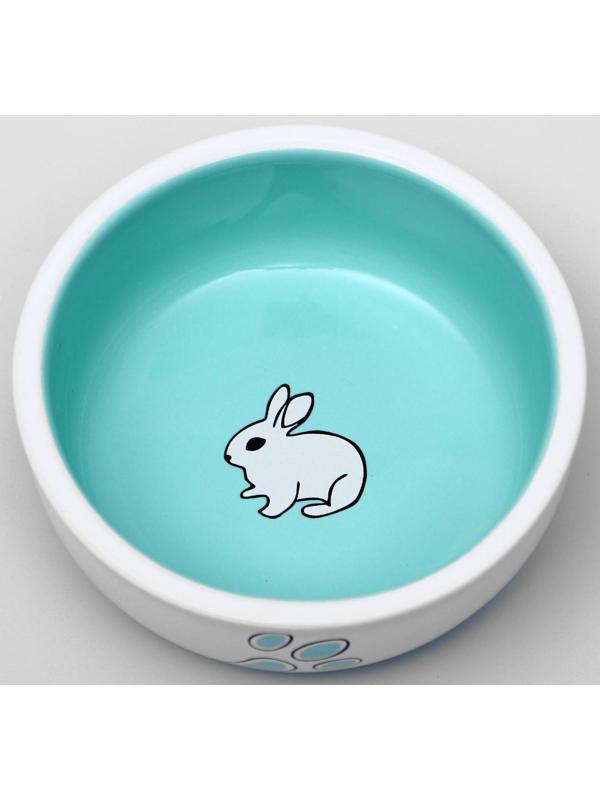 Миска керамическая для кроликов, 150 мл, 10 х 3,7 см, бело-зеленая