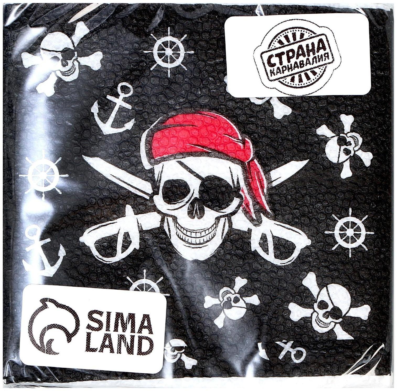 Салфетки бумажные «Пират», однослойные, 24х24 см, набор 20 шт.